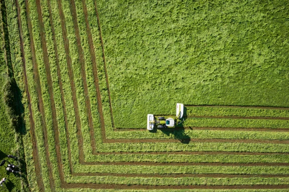 Trecker mäht Gras auf einem großen Feld, von oben