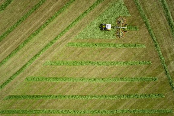 Trecker legt Gras zusammen, großes Feld von oben